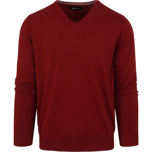 Men's Slim V-Neck Sweater