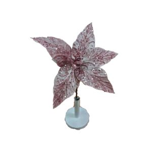 Pink Christmas Flower