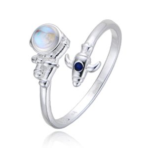 Anillo Astronauta