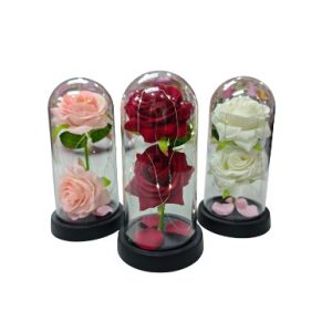 Rose Dome with 3 Color Light