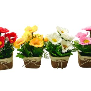 Baskets with Assorted Daisies