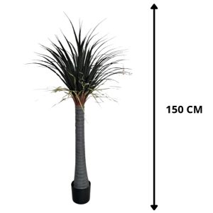 Elephant's Foot Plant