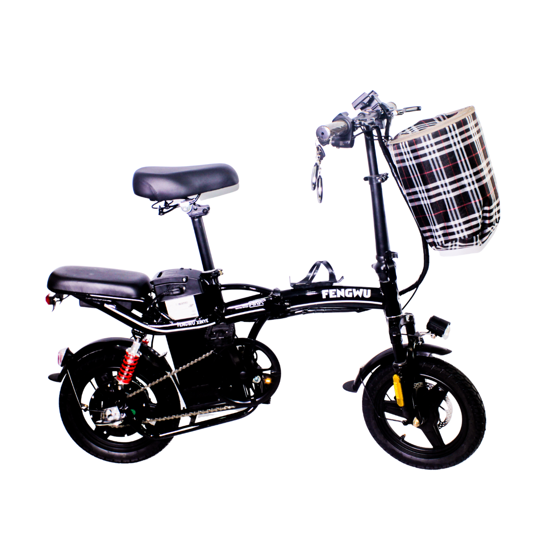 Fengwu Electric Bicycle Black
