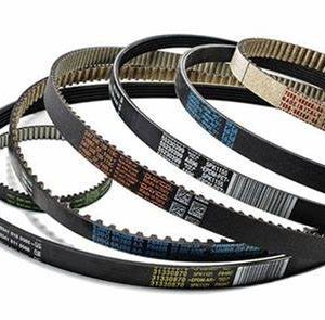 Industrial Belt 3Vx1000